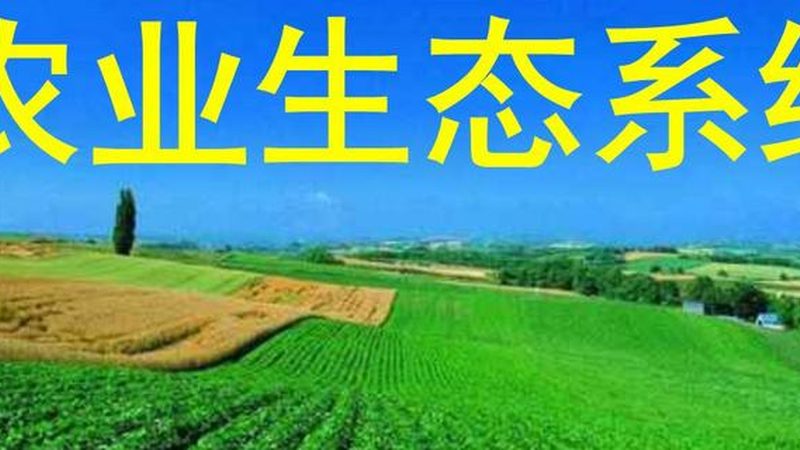 生态农业旅游开发公司注册，流程全解析