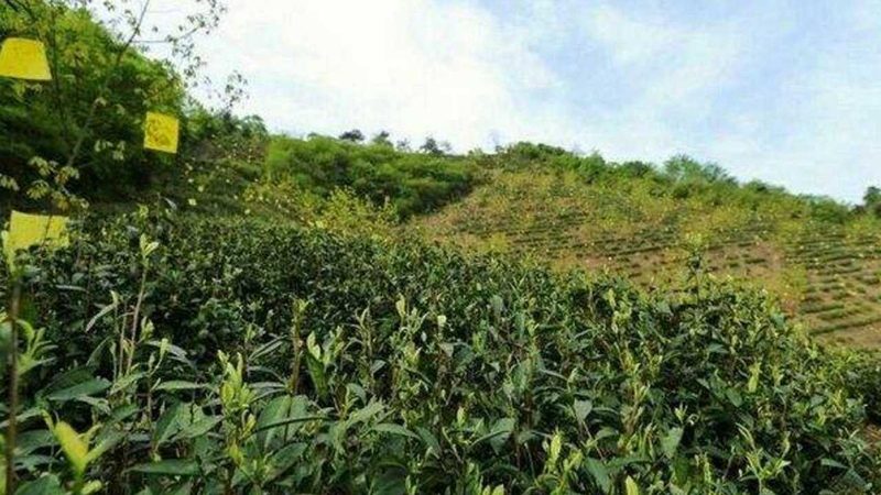 生鲜配送中心投资多少钱？揭秘投资成本构成与优化策略