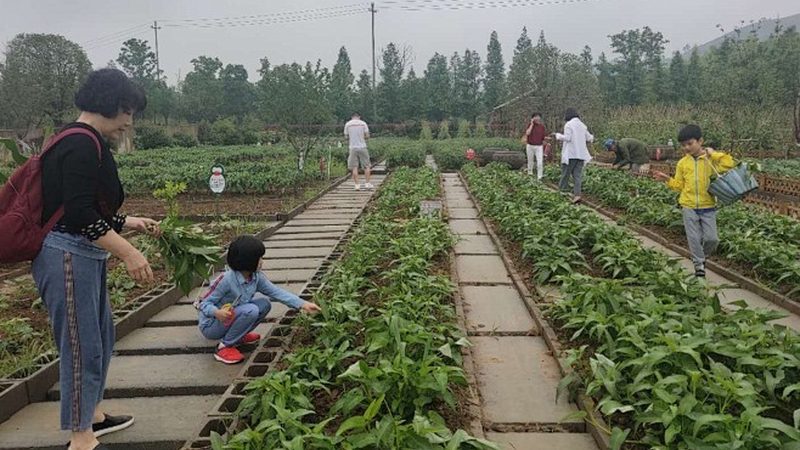 生态农业设备：助力绿色种植的未来之星