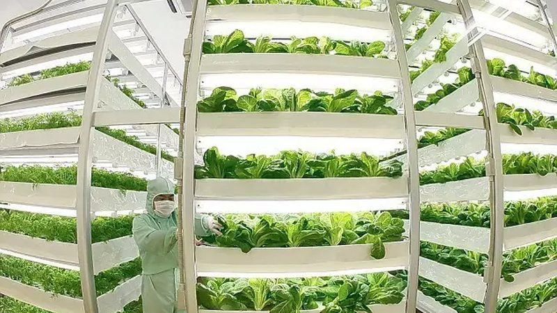 饲料采购参数规格揭秘：如何科学评估与选择