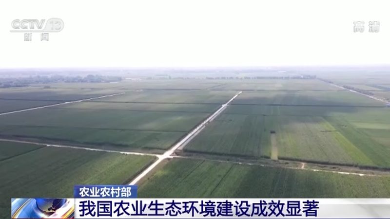 果蔬配送O2O平台参数对比