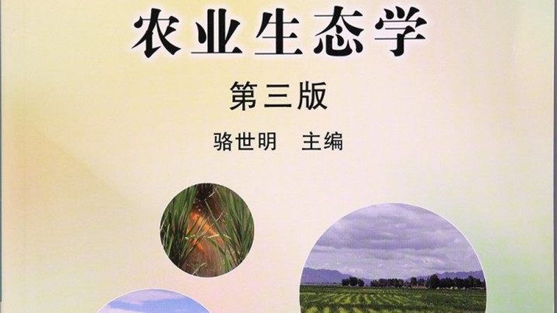 无人机喷药，种植大户病虫害防治新选择