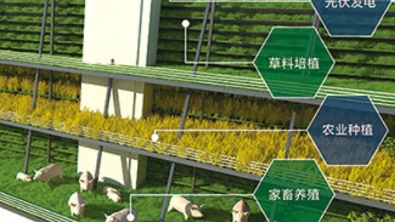 大棚种植成本解析：一亩多少钱的真相**
