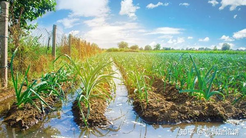 农业产业园规划，资质先行是常被忽略的硬门槛
