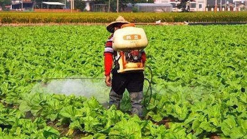 食品包装材质：优缺点与选择指南