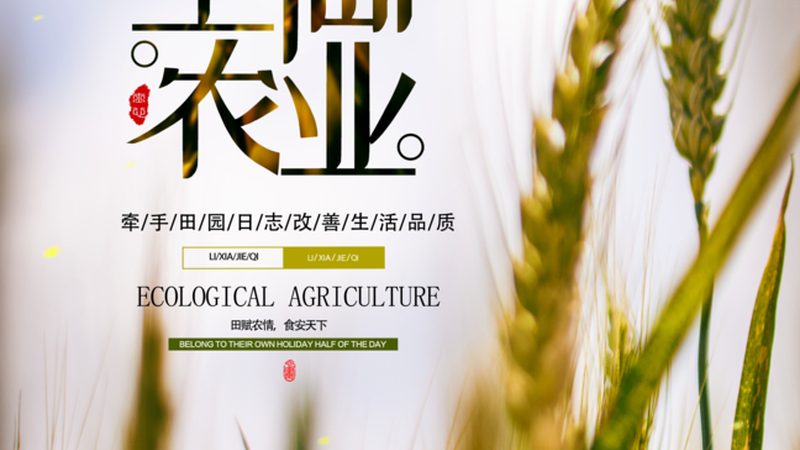 休闲农业观光园，如何打造生态旅游新亮点**
